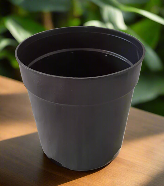 black flower pot